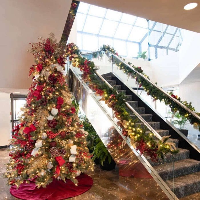 Dallas-Interior-Designer111